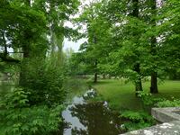 Englischer Garten